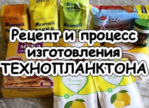 Рецепты изготовления технопланктона в домашних условиях