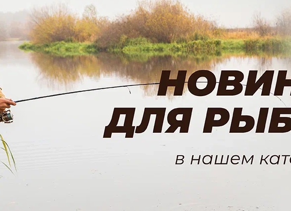 Товары для рыбалки: обзор новинок в каталоге