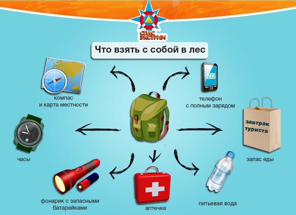 Что нужно для похода в лес? Топ 5 товаров для кемпинга